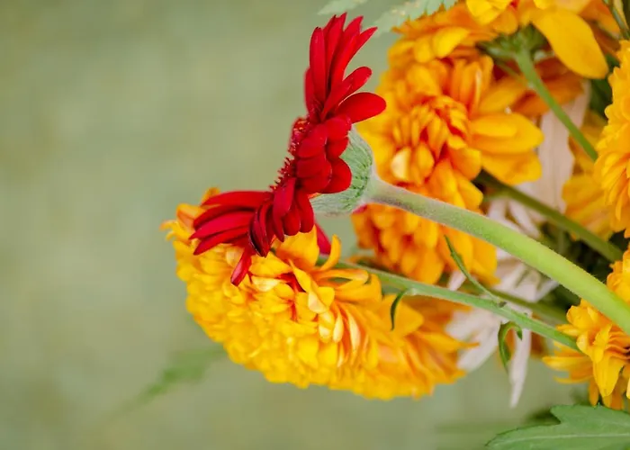 Belem Gasthuis Lissabon