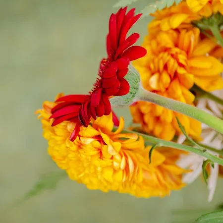 Belem ゲストハウス リスボン